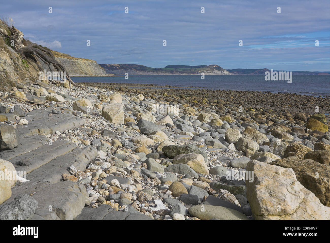 Jurassic coastline between Axmouth, Devon and Lyme Regis, Dorset in October. Stock Photo