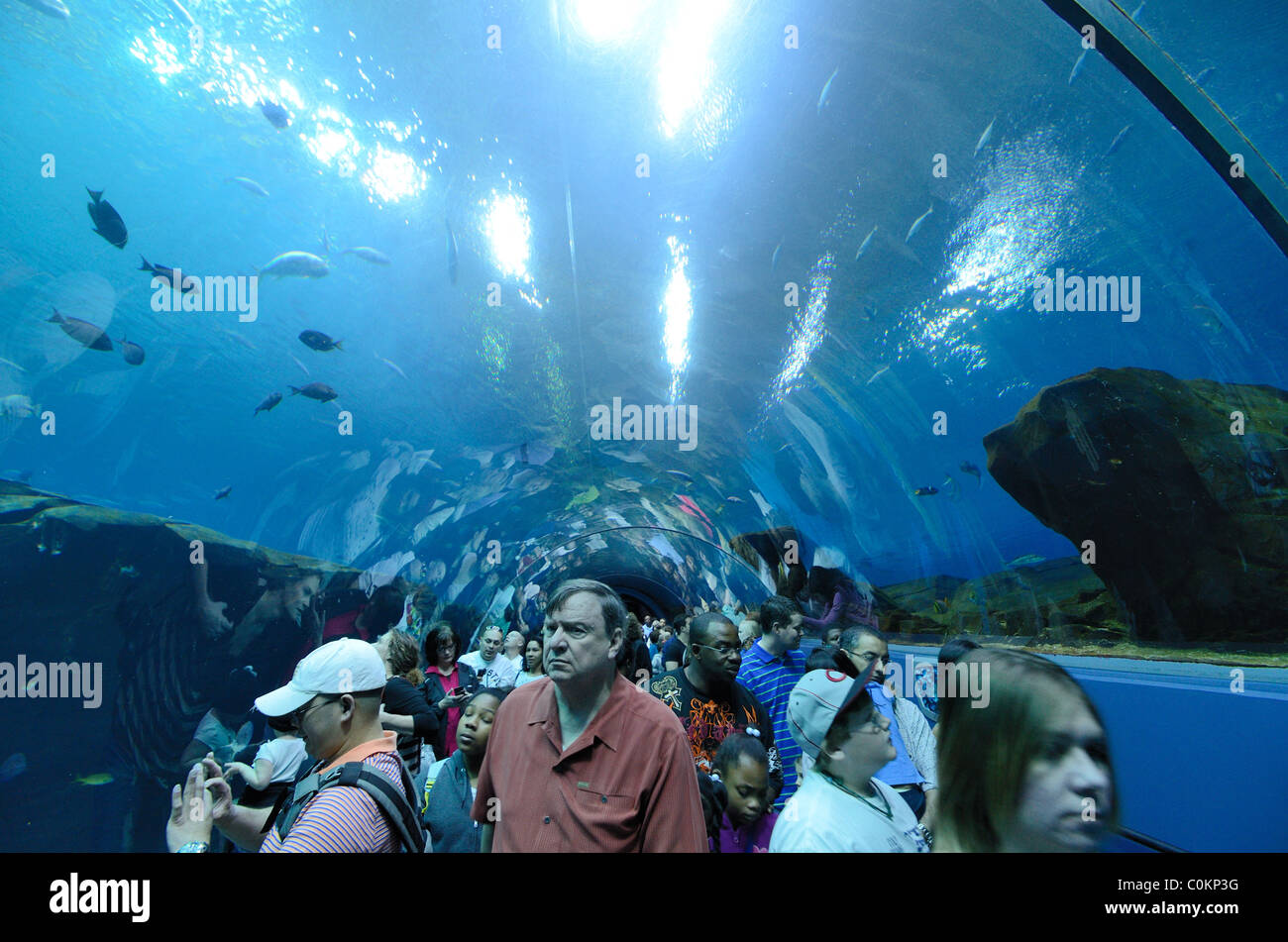The Georgia Aquarium, the world's largest aquarium, in Atlanta, Georgia. February 20, 2011. Stock Photo