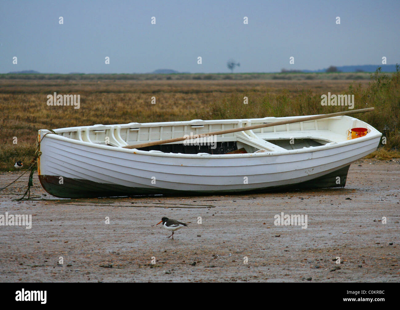 boat in estuary with oyster catchers Stock Photo