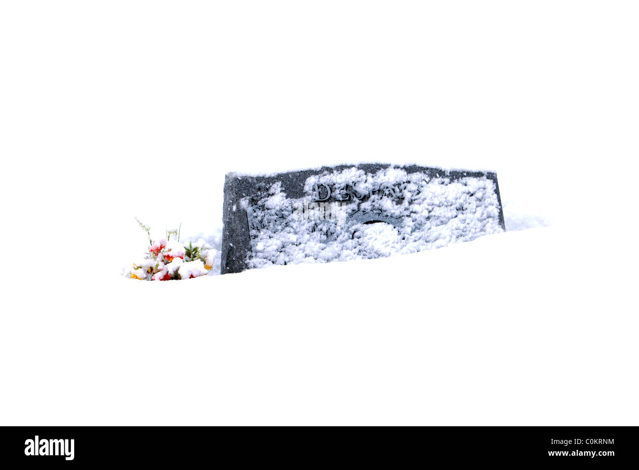 Headstone buried snow in cemetery with bright flowers in deep white snow. Winter season giving a religious and cold overtone. Stock Photo