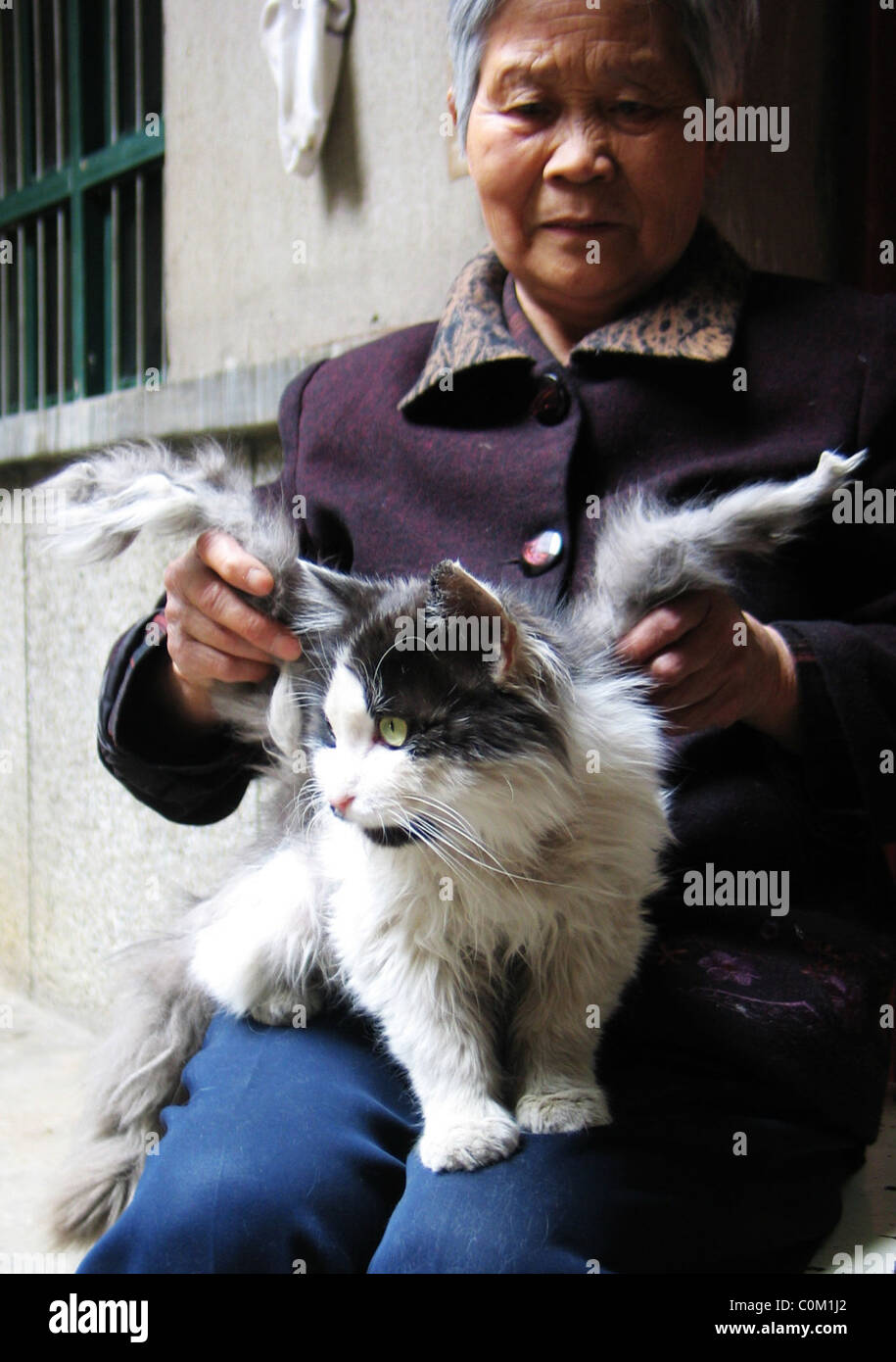 WINGED PUSS GETS IN A FLAP This mischievous cat has obviously