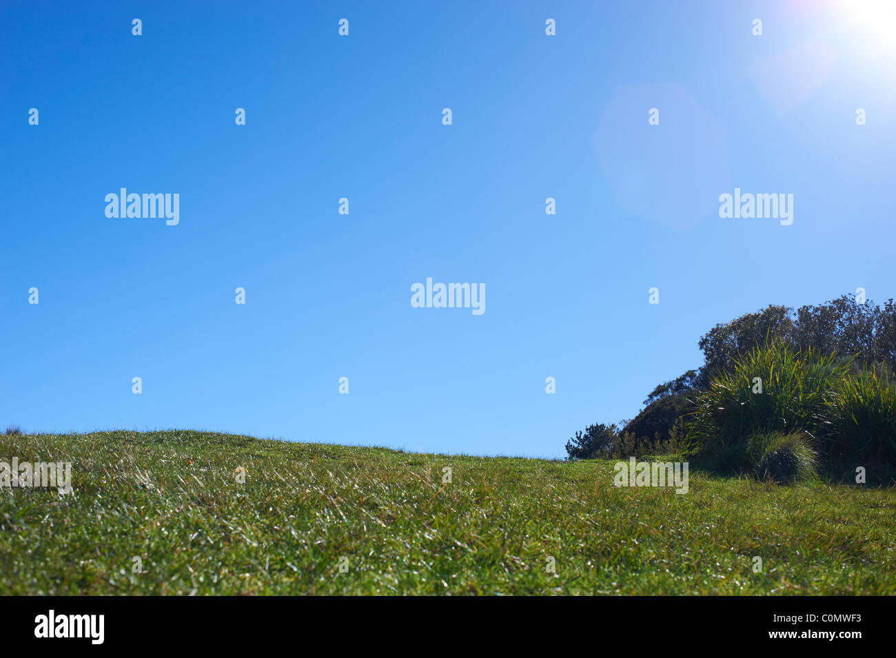 Green grassy hill and blue sky Stock Photo