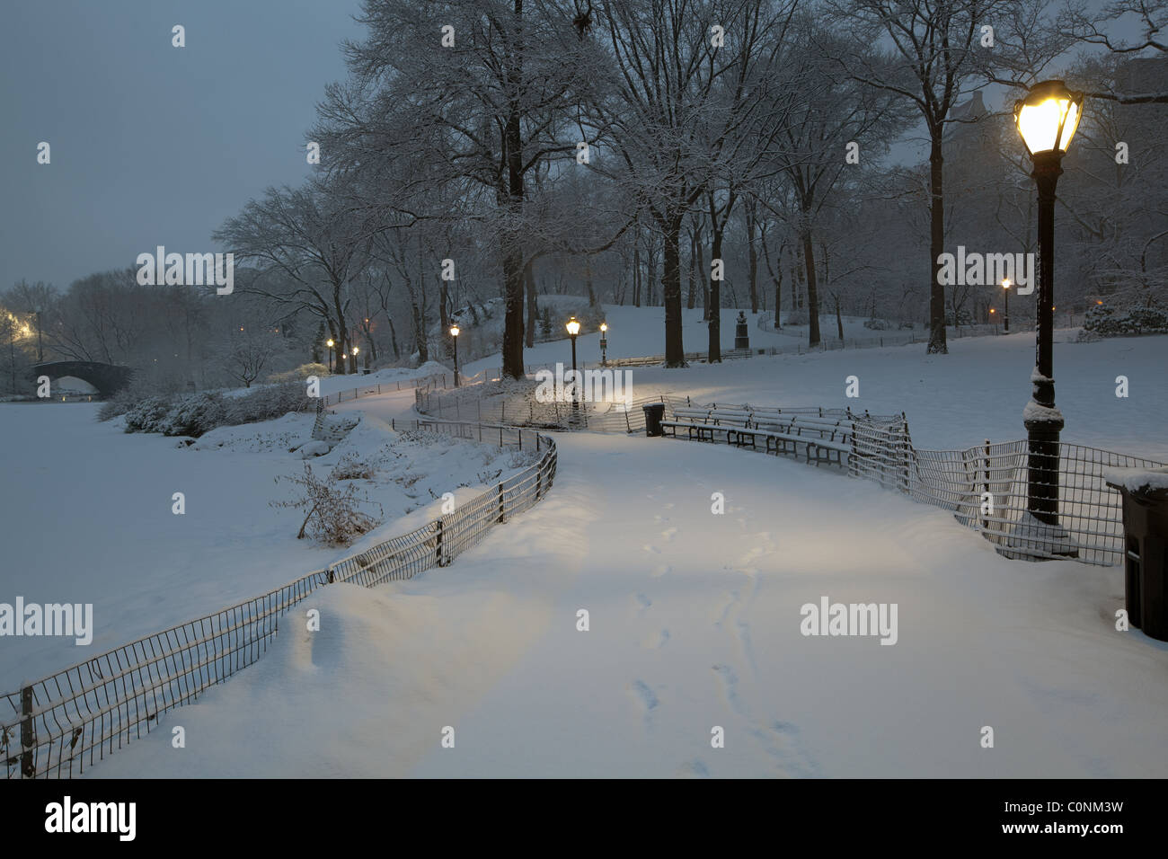 New york central park winter hi-res stock photography and images - Alamy