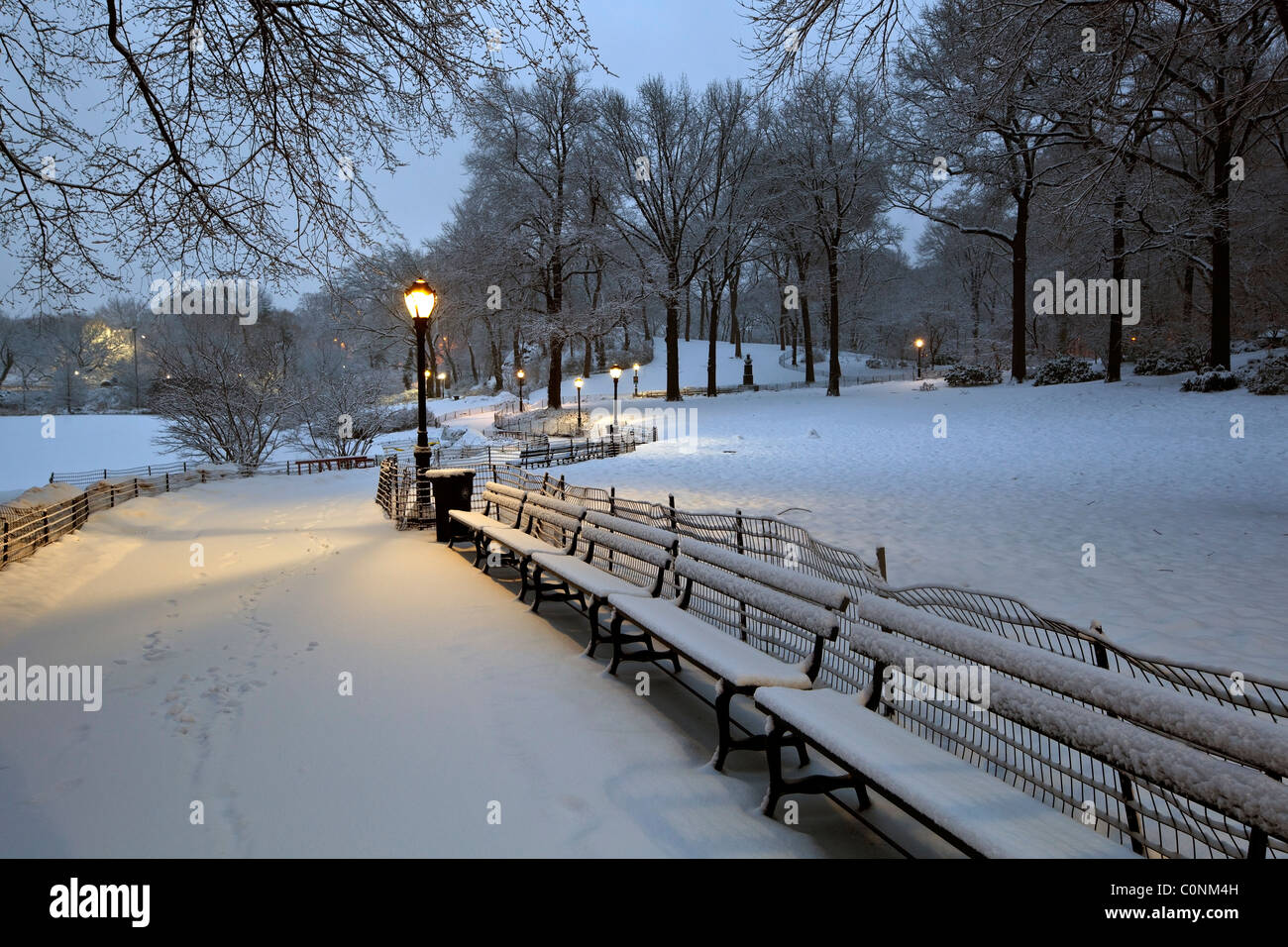 Central Park - New York City during a snow storm Stock Photo - Alamy