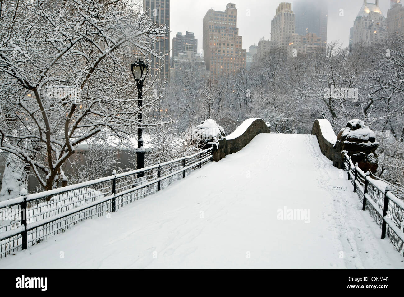 Central Park - New York City during a snow storm Stock Photo - Alamy