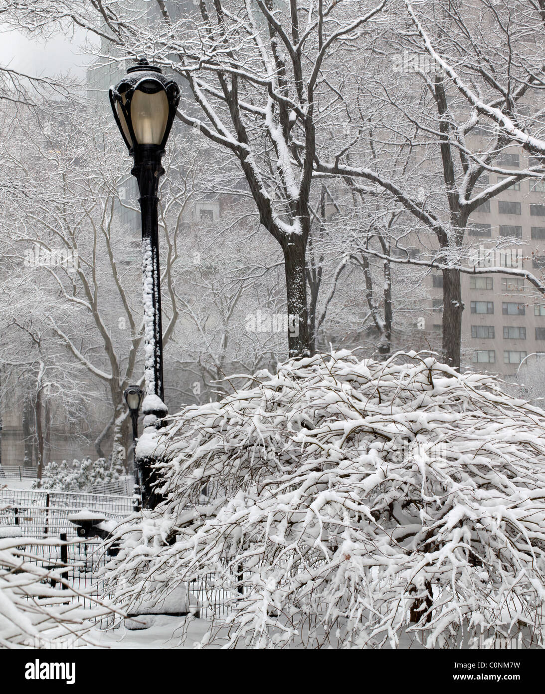 Central Park - New York City snow storm Stock Photo