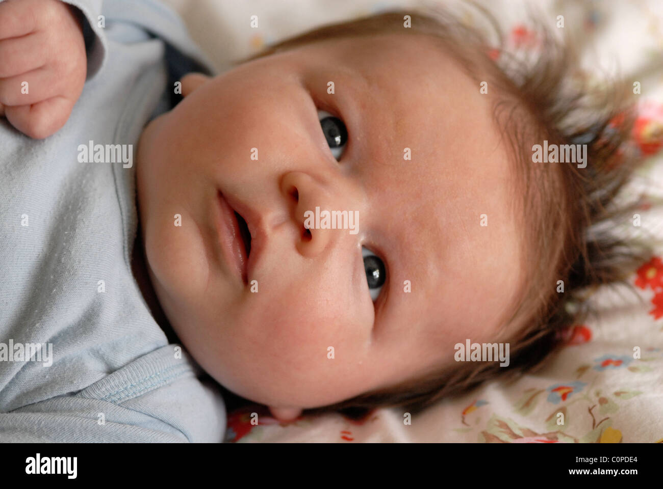 Head shot of a baby lying in a cot Stock Photo Alamy