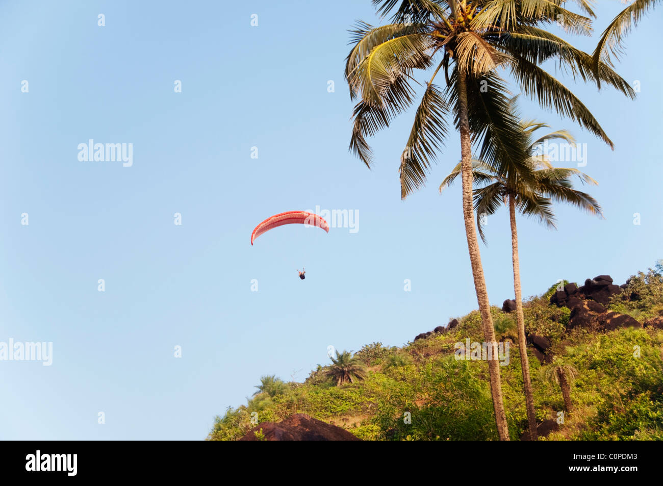 Low angle view of a paraglider flying, Goa, India Stock Photo