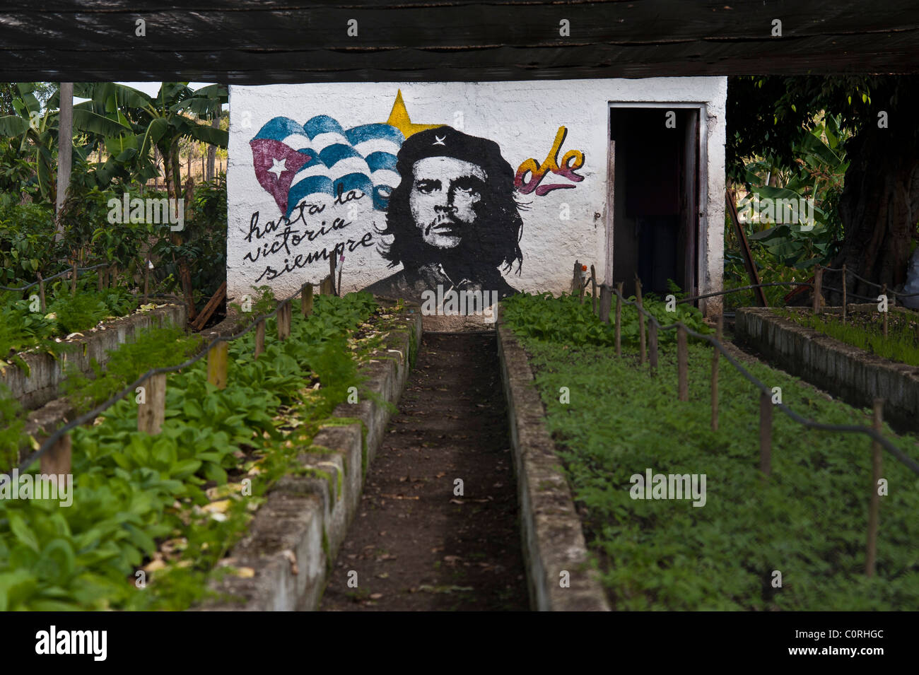 Allotments Santa Clara Cuba Stock Photo