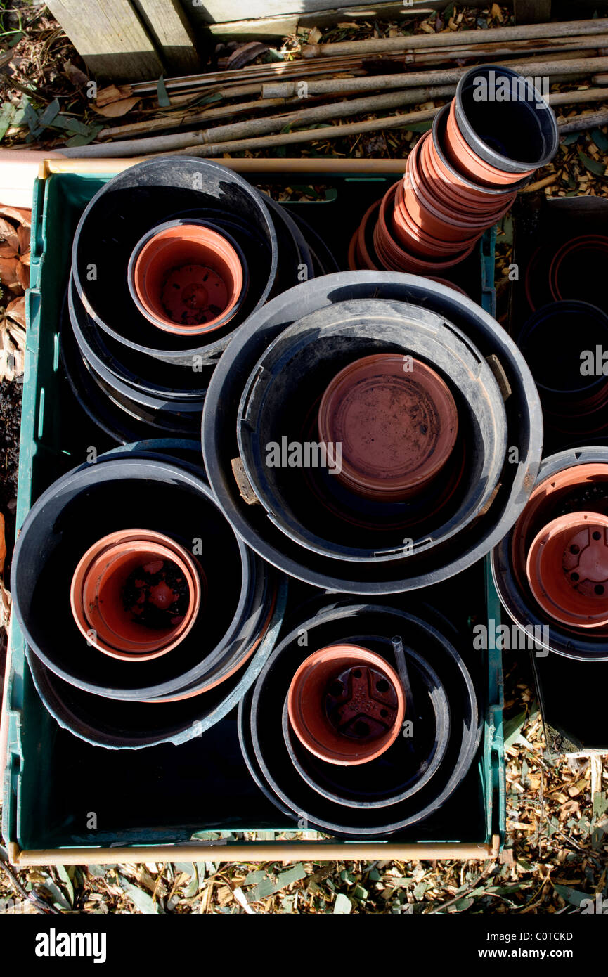 A collection of seed growing tubs in a garden, UK Stock Photo Alamy
