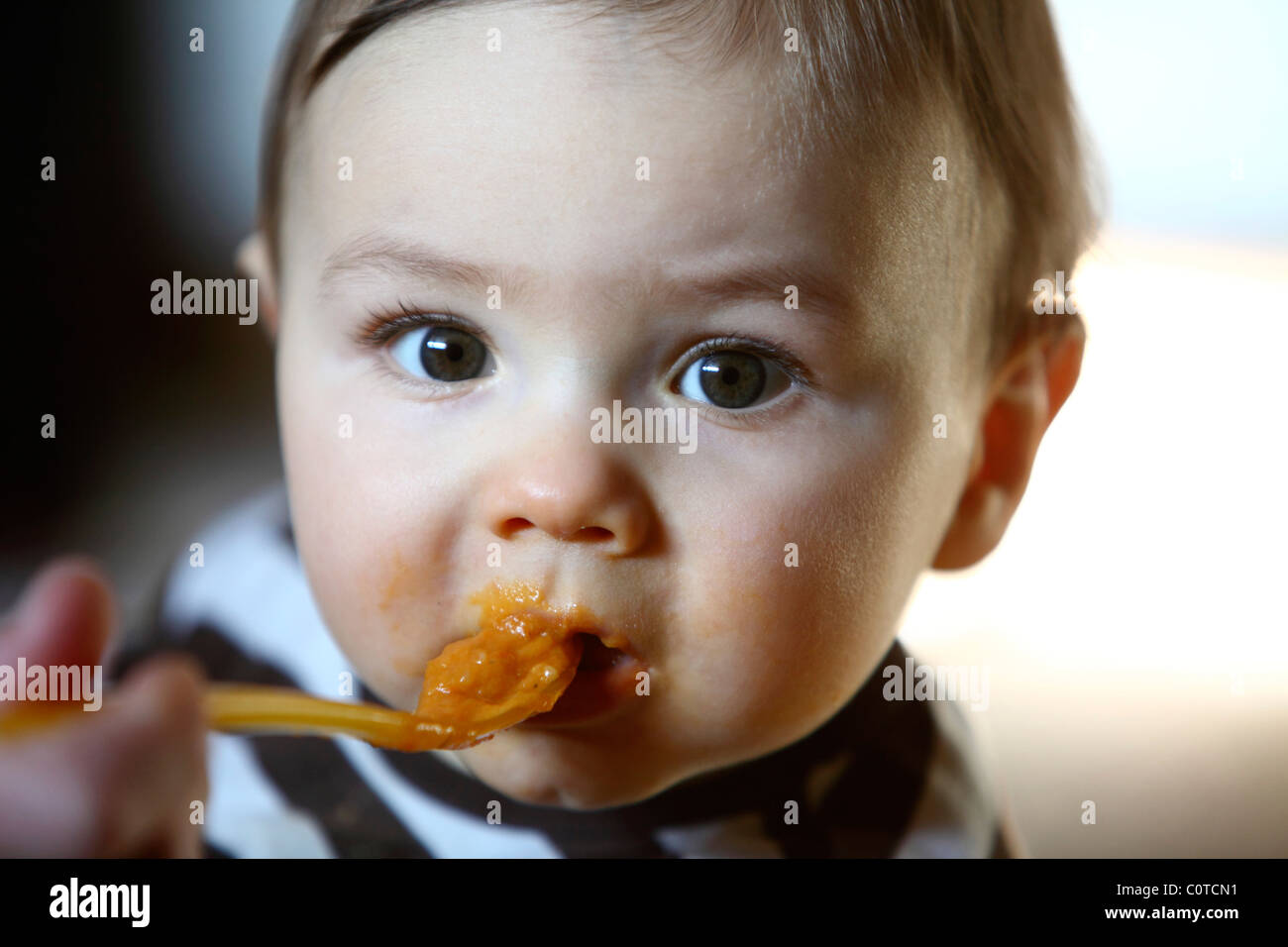 Baby boy, 10 month old, is spoonfeed Stock Photo Alamy