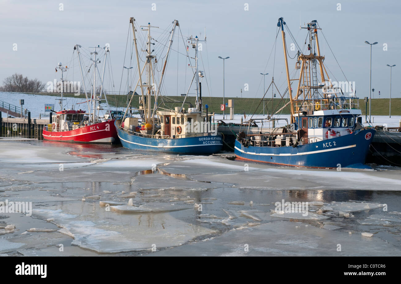 Shrimp cutters in the harbour of Dornumersiel Stock Photo