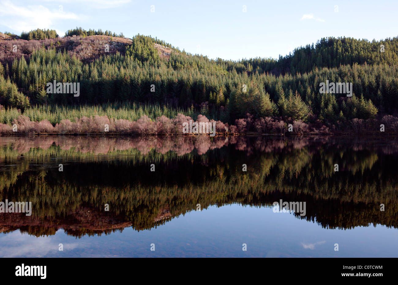 Reflections in icy Loch Lundie in Strathellen near Plockton Wester Ross Scotland UK Stock Photo