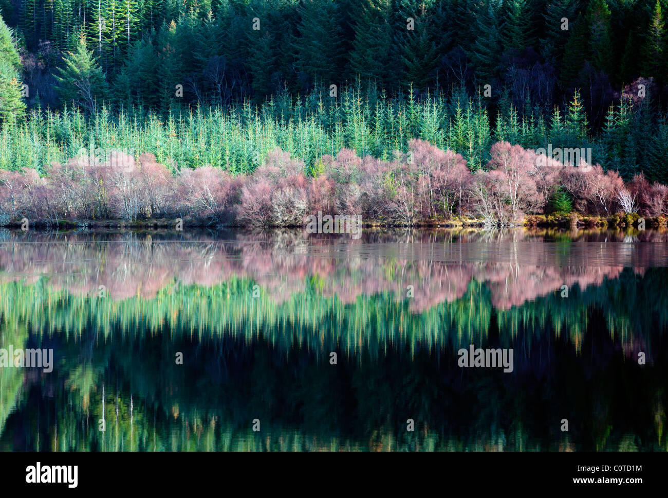 Reflections in icy Loch Lundie in Strathellen near Plockton Wester Ross Scotland UK Stock Photo