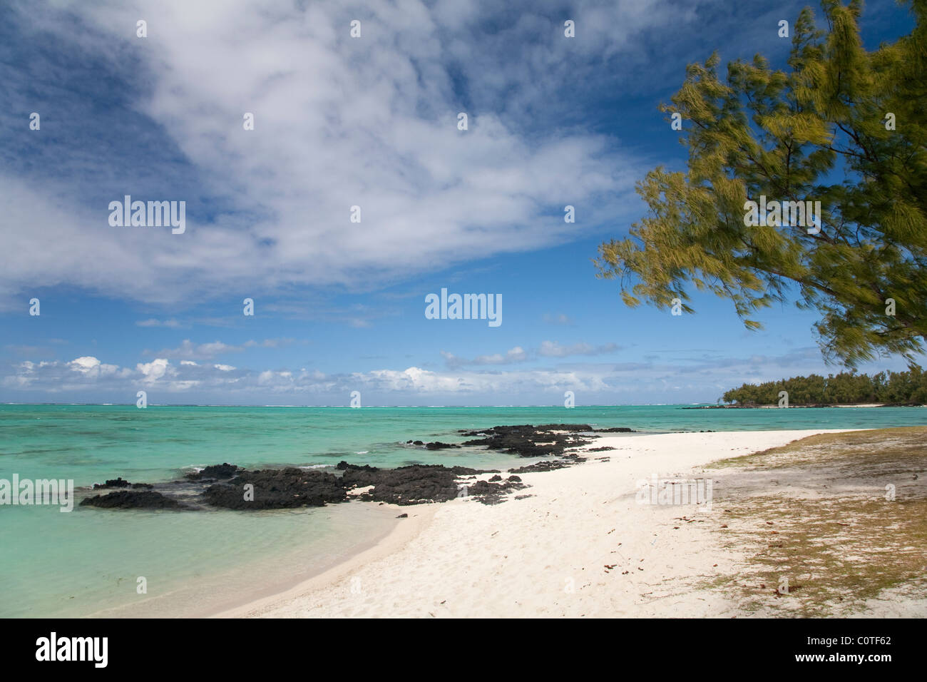 Ile aux Cerfs beach Mauritius Stock Photo