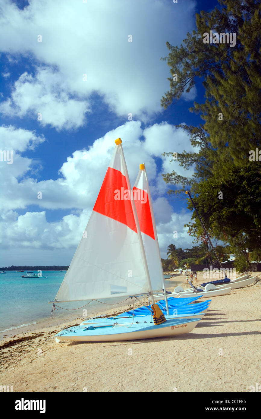 Sailing yachts for hire on beach, Mauritius Stock Photo