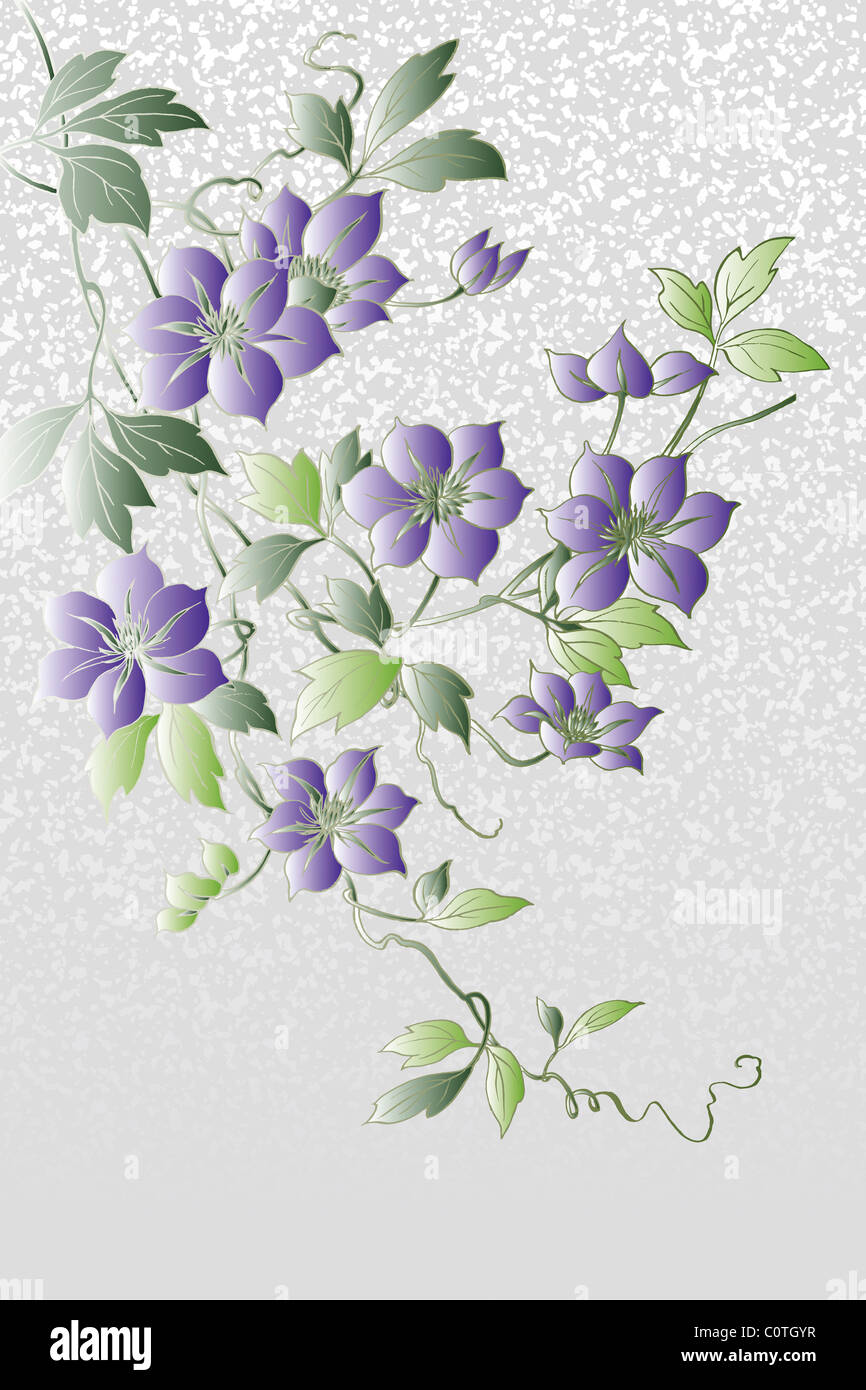 CG of Japanese Painting, Clematis Stock Photo