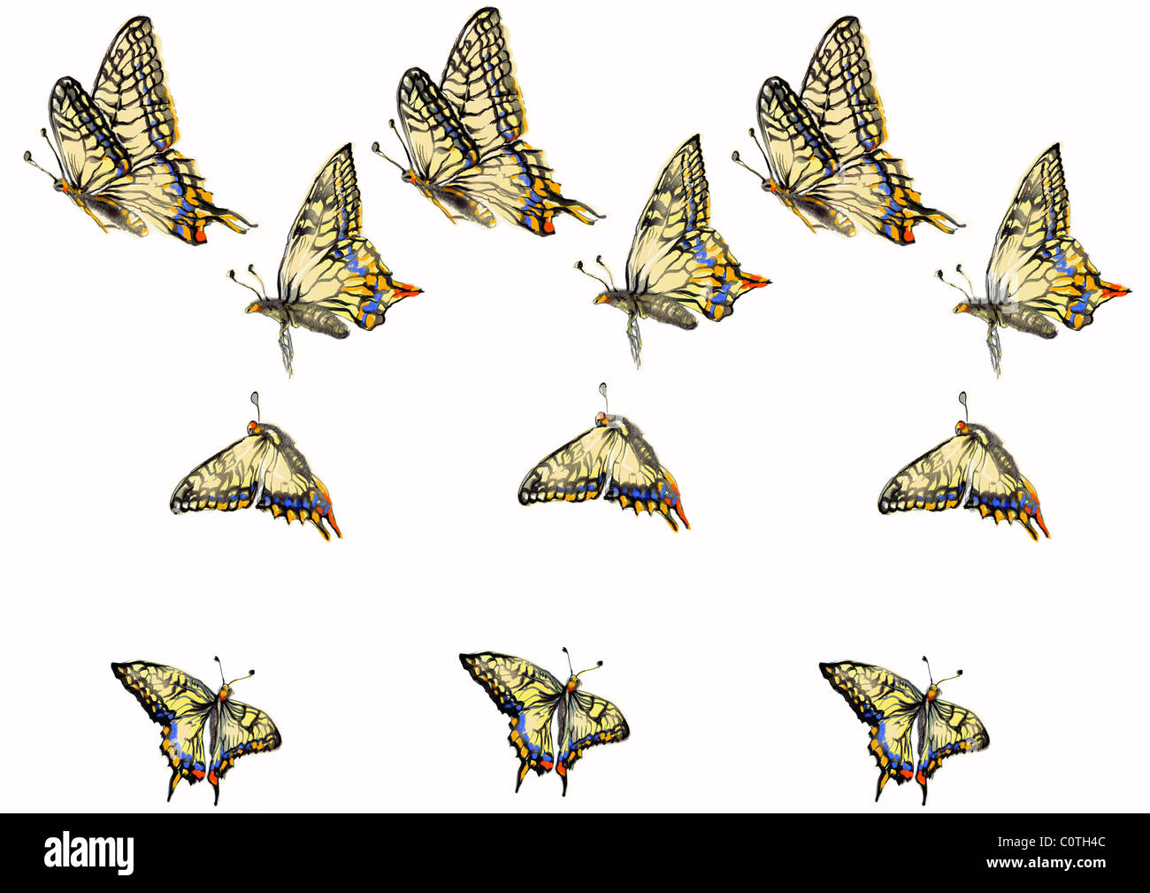 Pattern of Japanese Painting, Butterfly Stock Photo Alamy