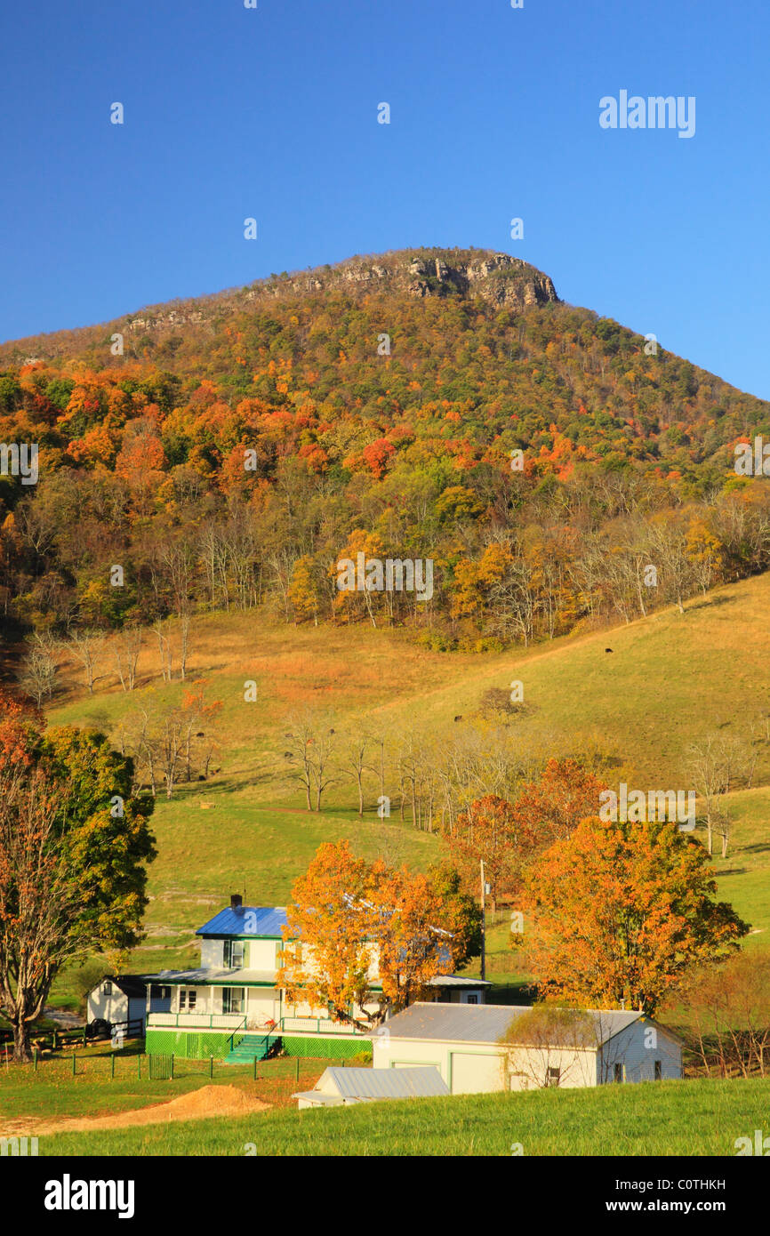 Farm under Jump Mountain, Rockbridge Baths, Shenandoah Valley, Virginia
