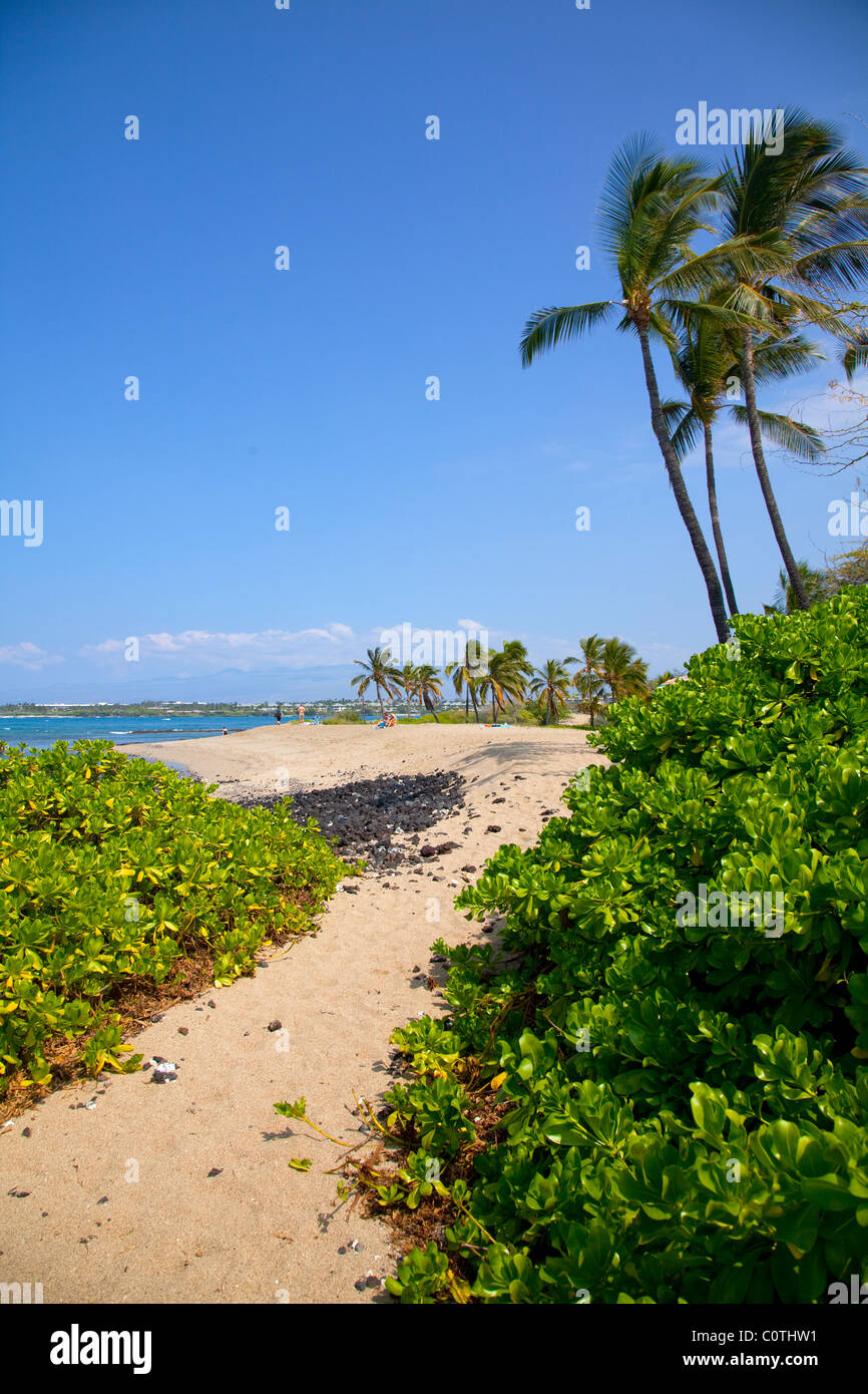 Kapalaoa Beach, Anaehoomalu Bay, Kohala Coast, Island Of Hawaii Stock ...