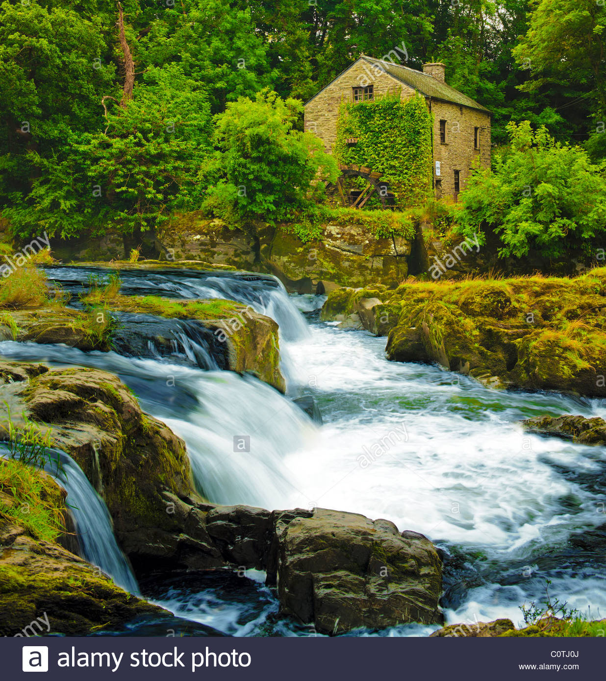 Cenarth Falls Salmon High Resolution Stock Photography and Images Alamy