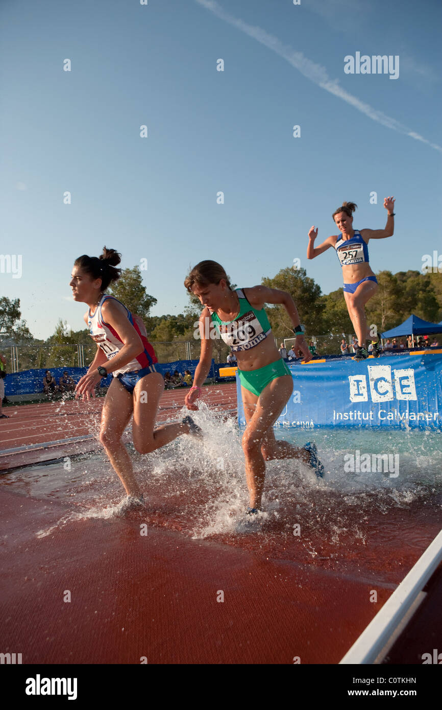 Sport Outdoor Athletics Olympic Competition Race Track Adult Athletes sport-outdoor-athletics-olympic-competition-race-track-adult-athletes