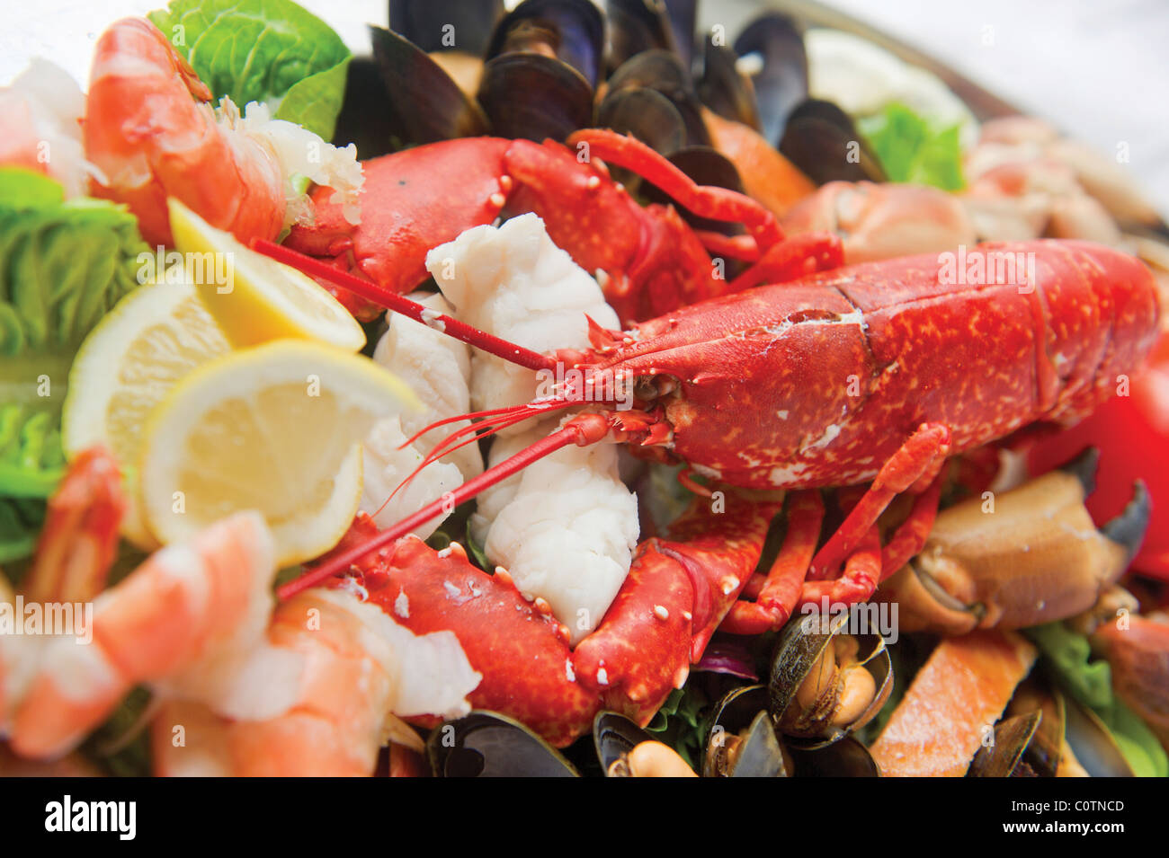 Seafood platter lobster prawn shrimp lemon garnish fresh Stock Photo