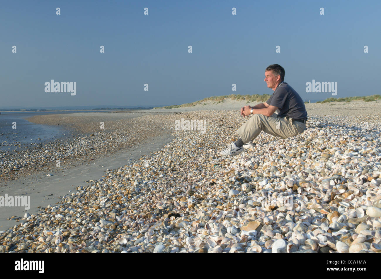 Man person sitting on massed shells on western edge of East Head, West Wittering, West Sussex, UK. September. Stock Photo