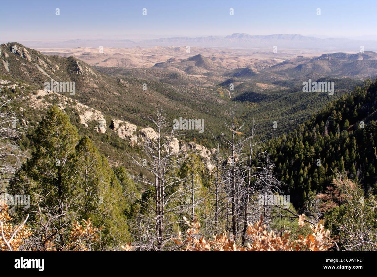 Gila Wilderness, New Mexico Stock Photo Alamy