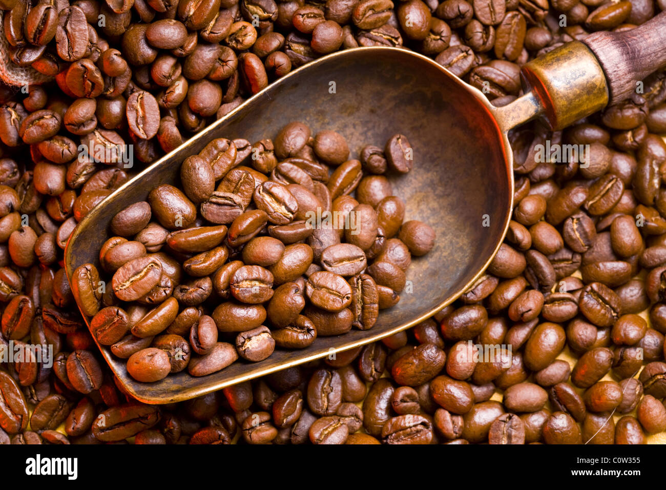 coffee beans and scoop Stock Photo Alamy