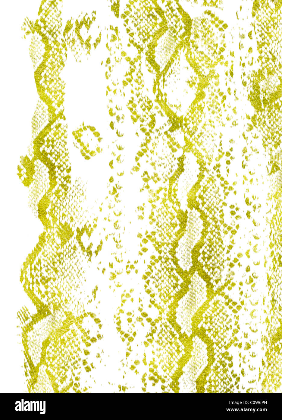 Python Pattern Stock Photo