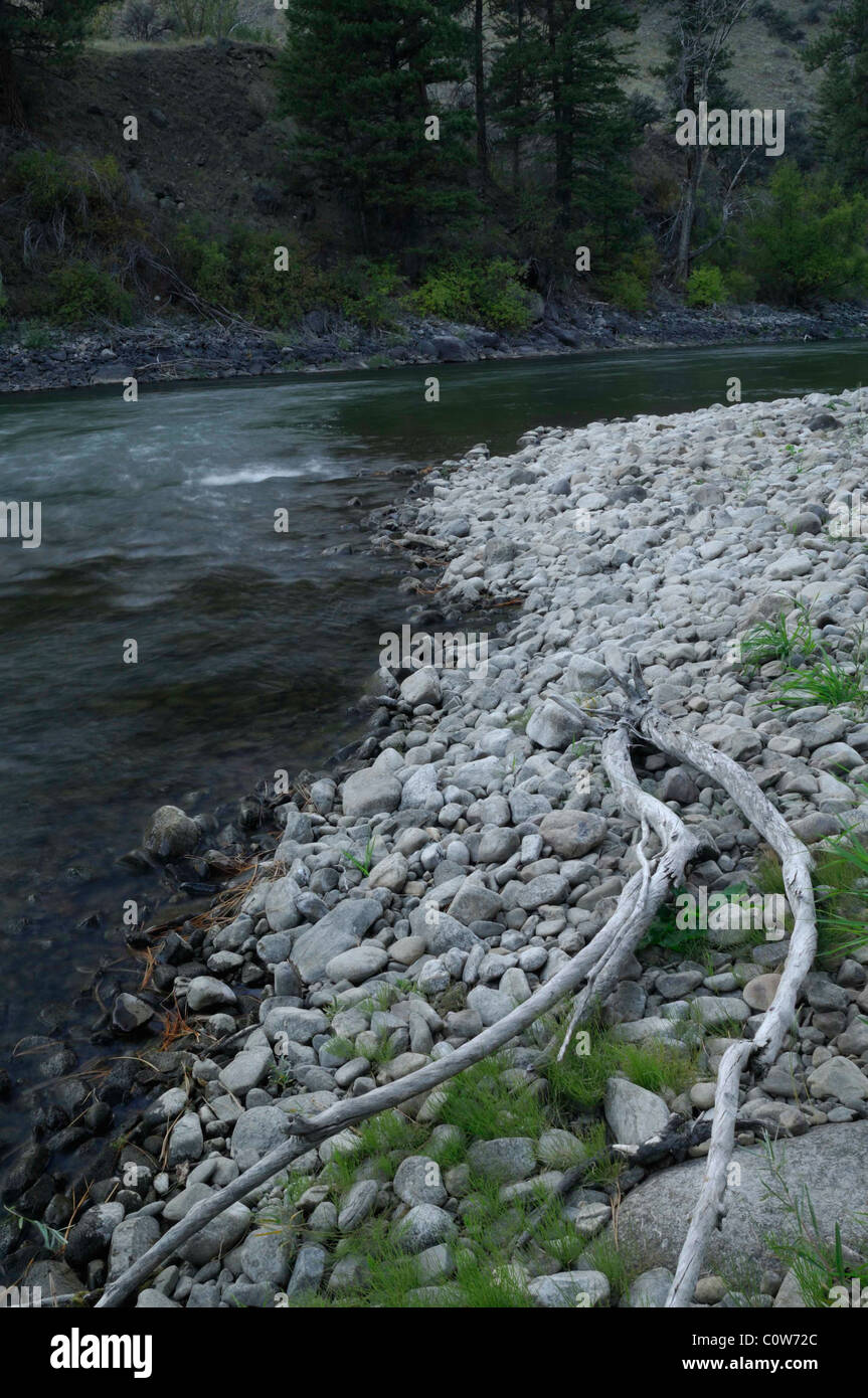 Salmon River, Fall, Autumn, Salmon, Idaho Stock Photo Alamy