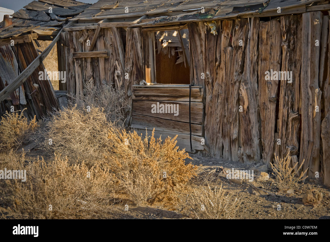 Dilapidated Ramshackle Cabin Stock Photo