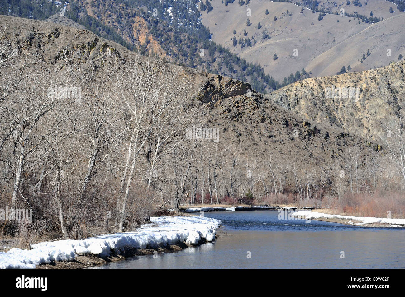 Salmon River, Winter, Snow, Salmon, Idaho Stock Photo Alamy