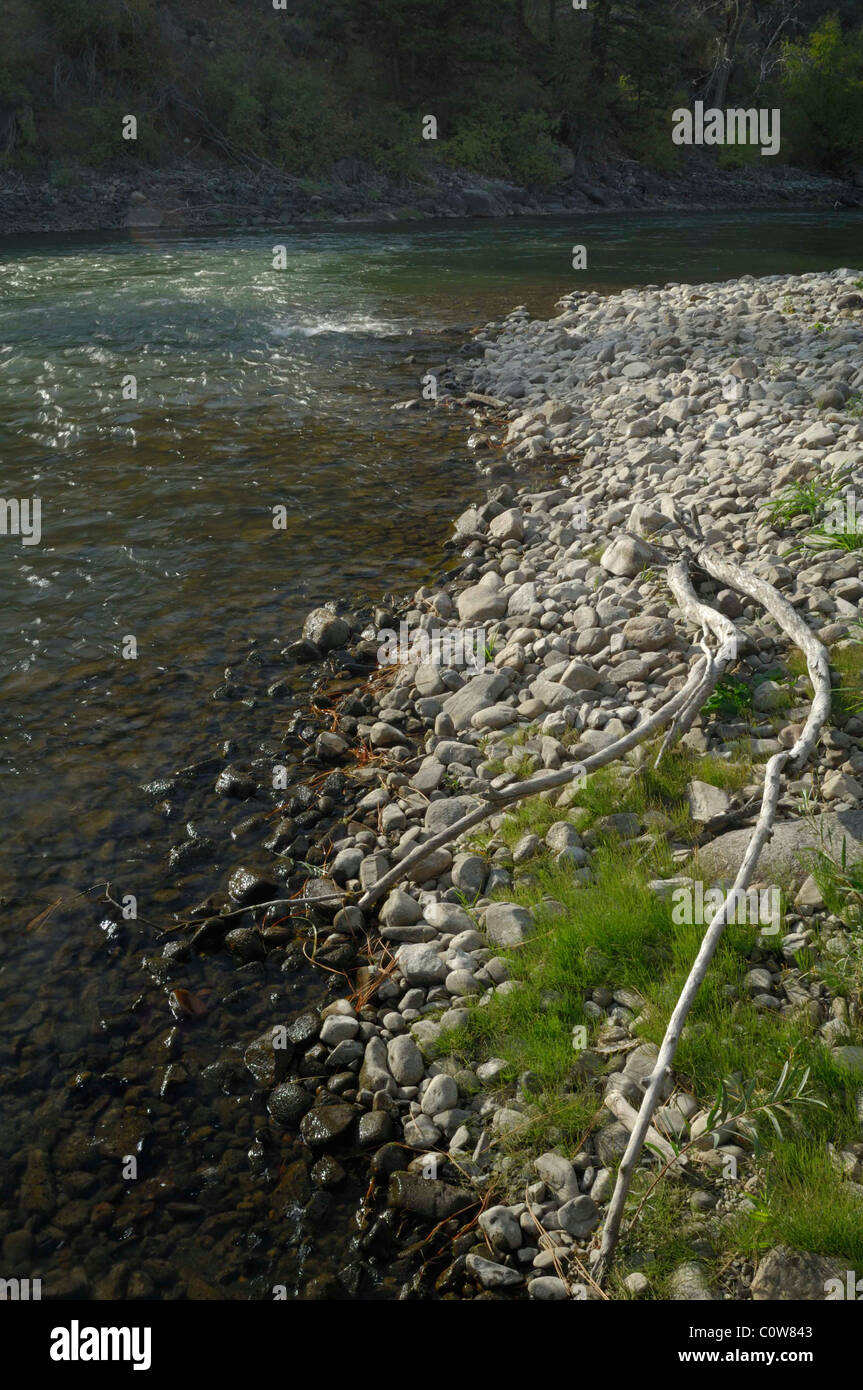 Salmon River, Fall, Autumn, Salmon, Idaho Stock Photo Alamy