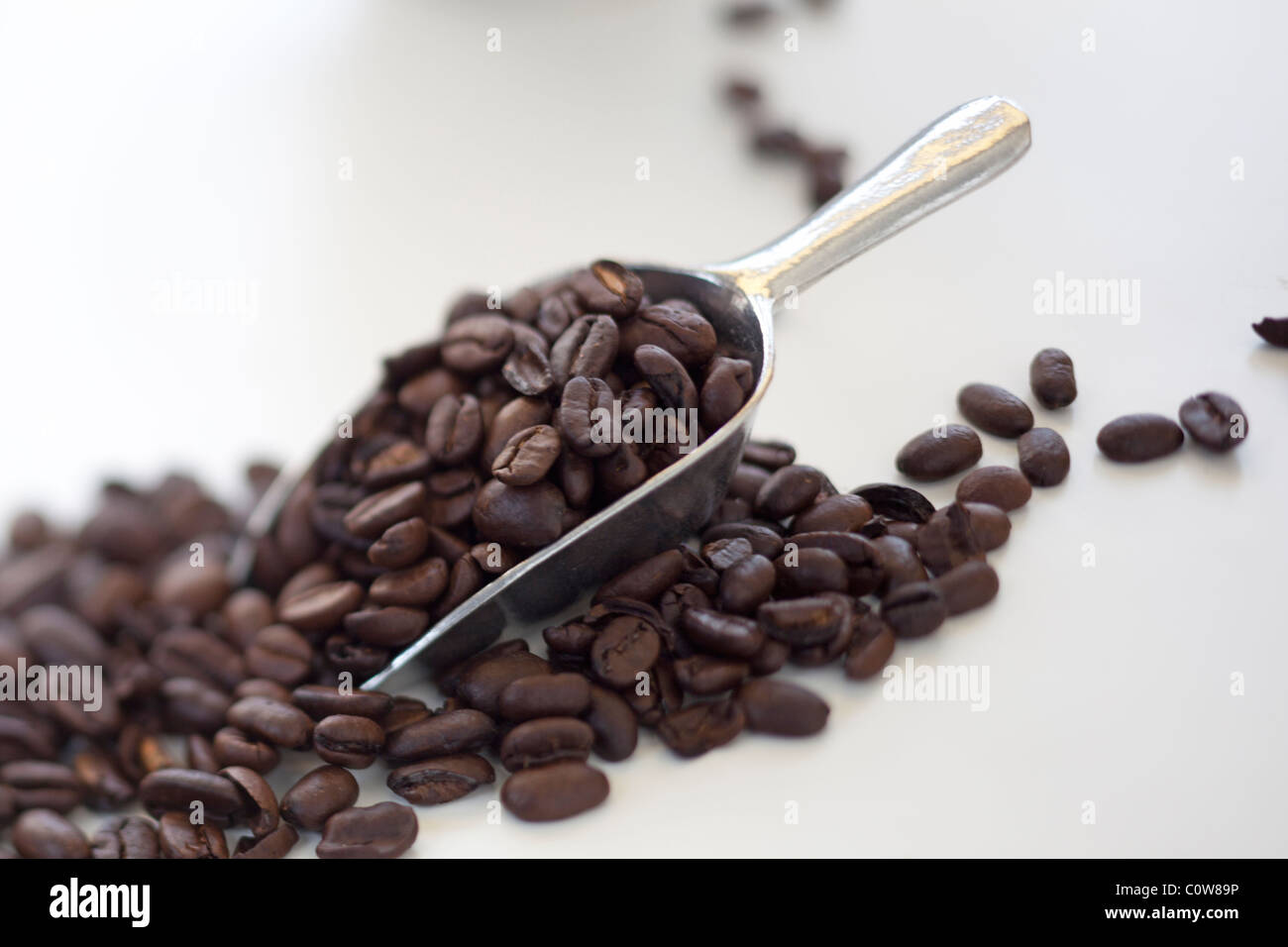 scoop of roasted coffee beans Stock Photo