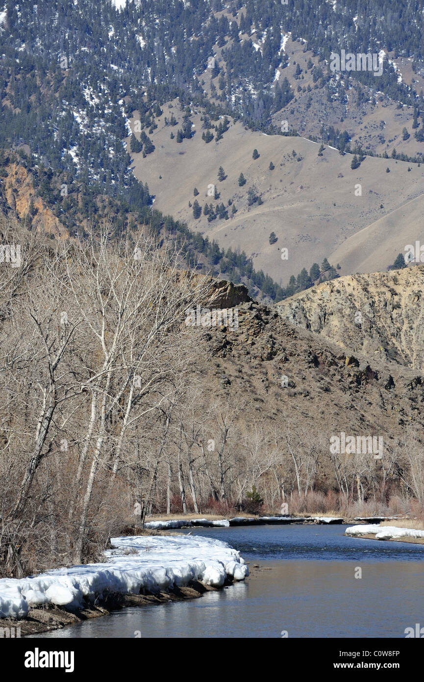 Salmon challis national forest hires stock photography and images Alamy