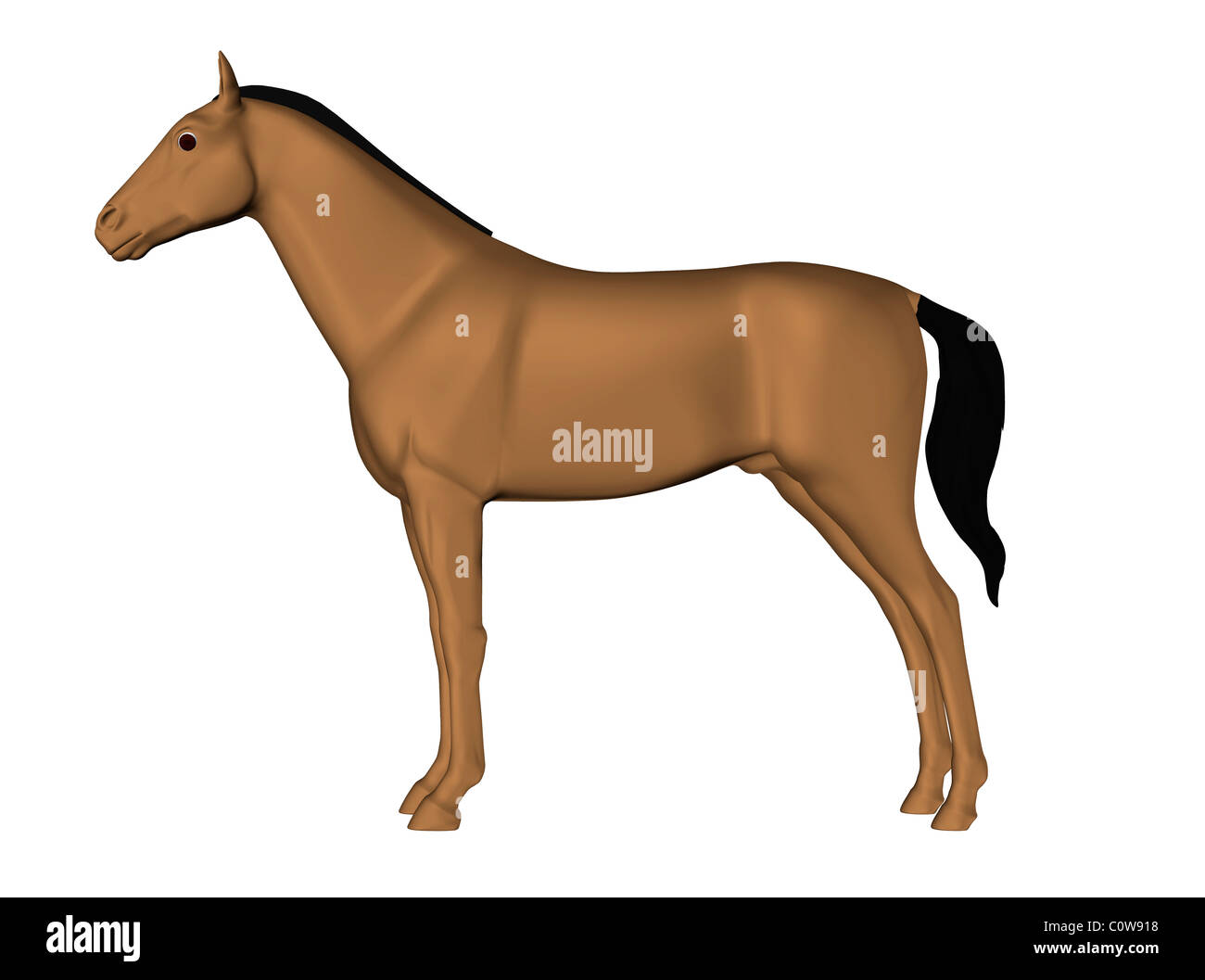 Skin anatomy hires stock photography and images Alamy