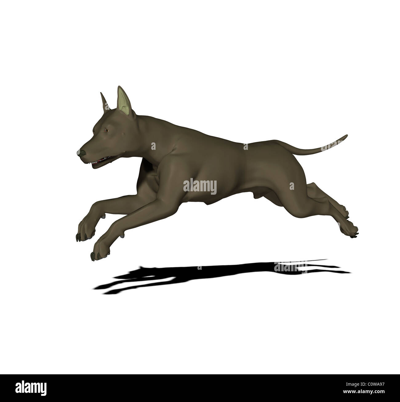 dog illustration Stock Photo