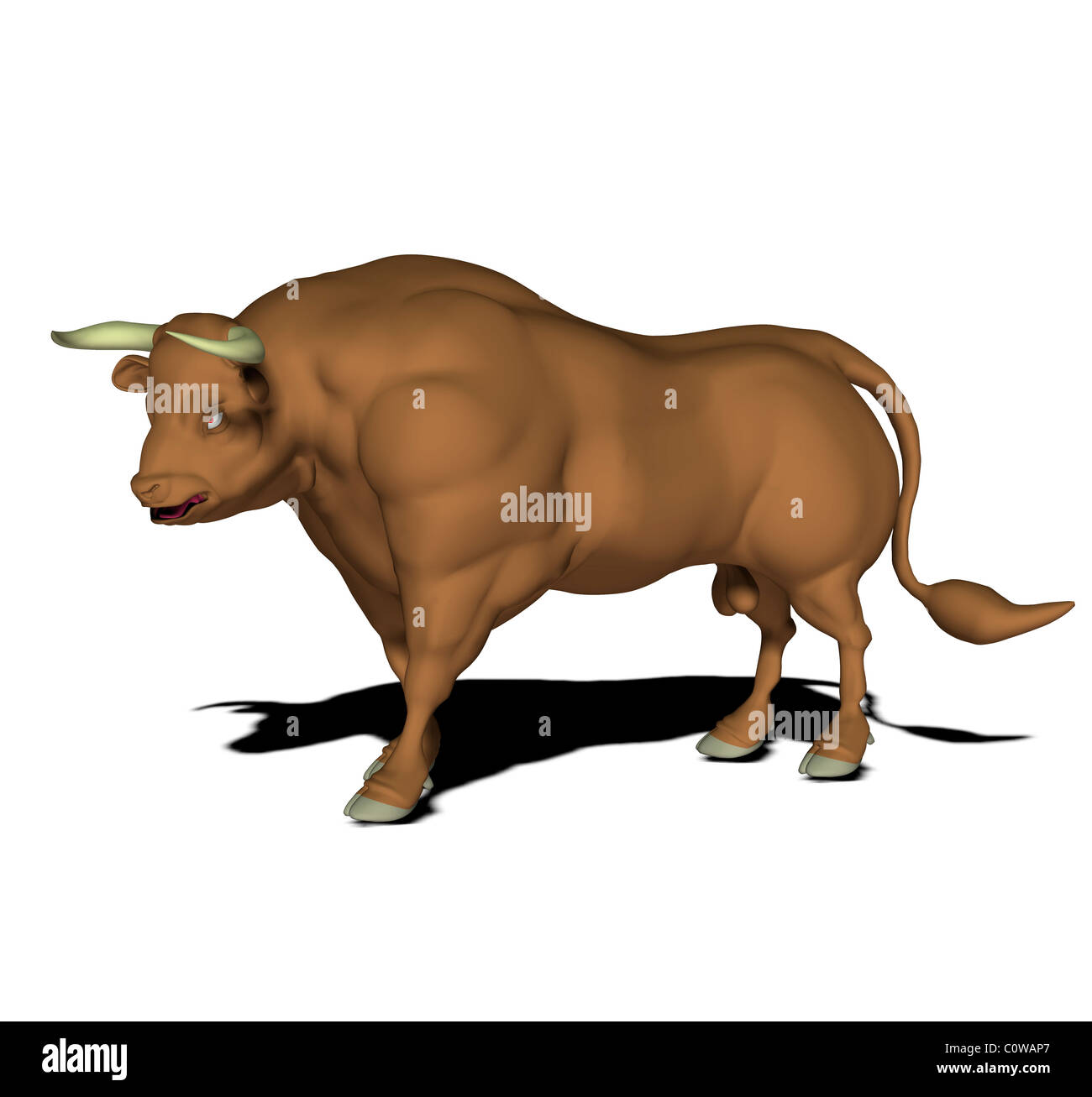 bull Stock Photo