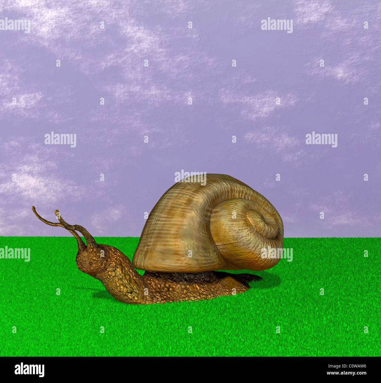 snail Stock Photo