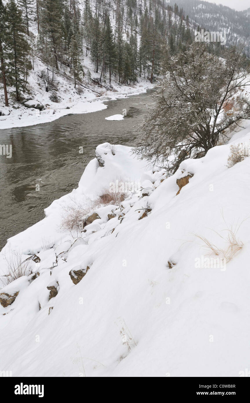 Salmon challis national forest beautiful hires stock photography and