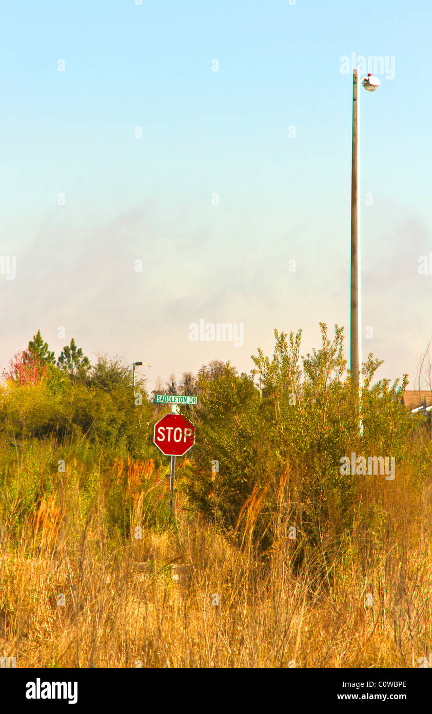 Overgrown vacant housing lots, Tampa, Florida. Wellington at Meadow Pointe, N28 degrees 10' 25' and W82 degrees 19' 11'. Stock Photo