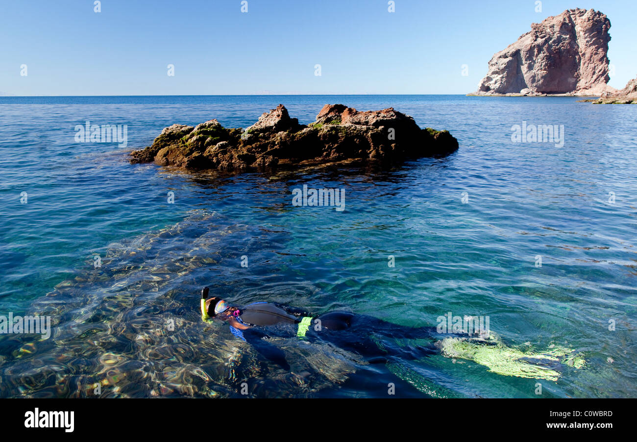 A snorkeler explores the marine lie in the nearshore waters of Kino Bay, Mexico. Stock Photo