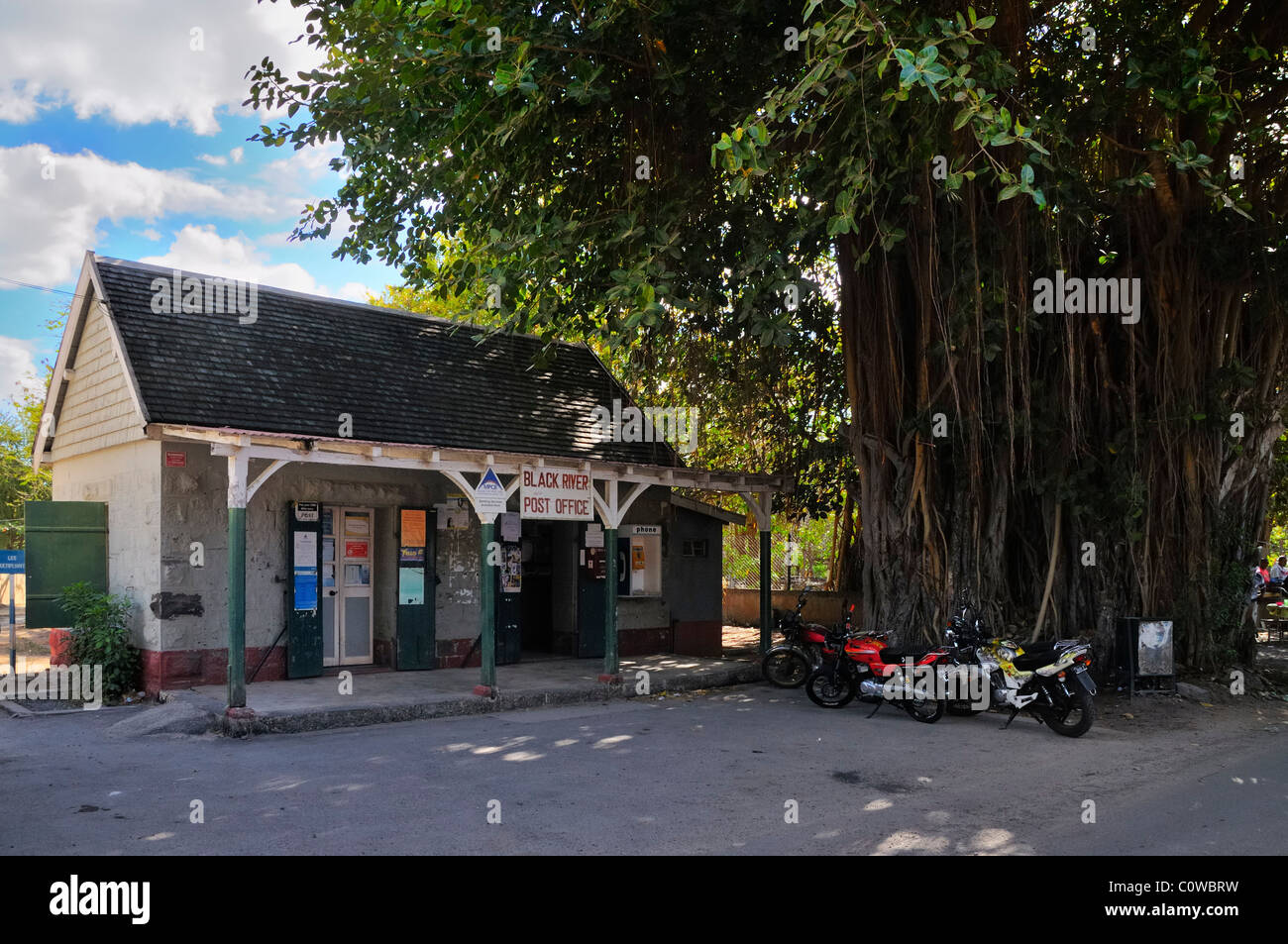 The post office in the shade of a calvaria tree (dodo tree, sideroxylon