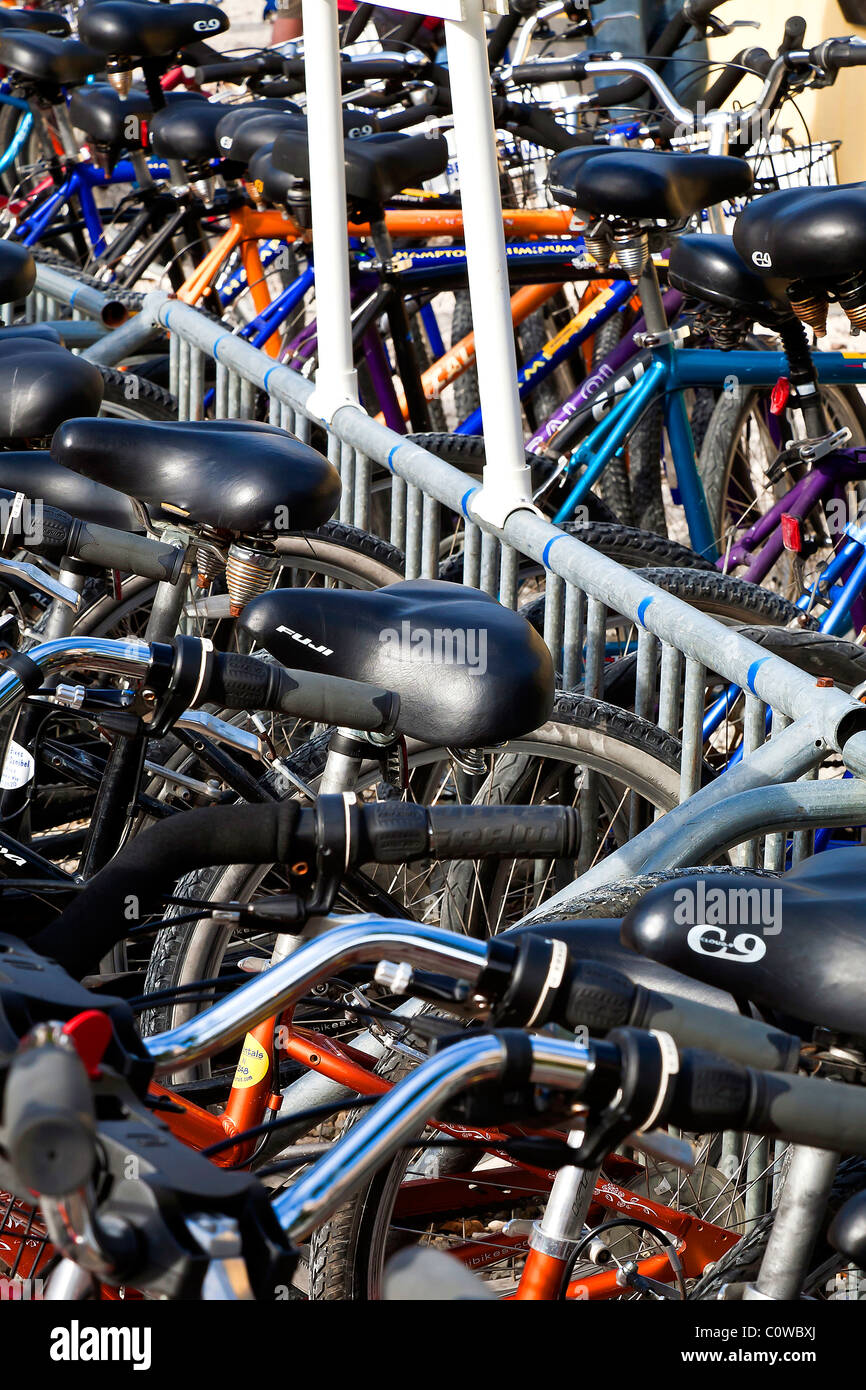 Rental bikes standing ready to rent, Sanibel Island, Florida Stock