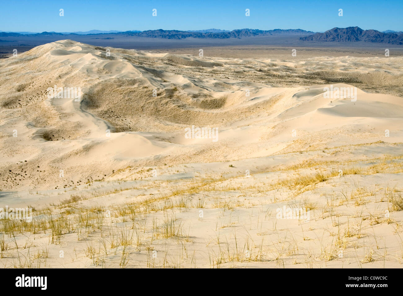 Kelso Dunes in the Mojave Desert, California. Stock Photo