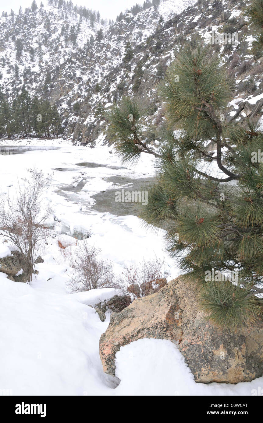 Salmon challis national forest beautiful hires stock photography and