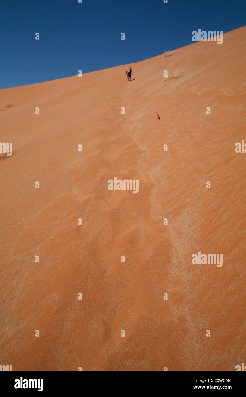 Man climbing the biggest dune in Sossusvlei Stock Photo