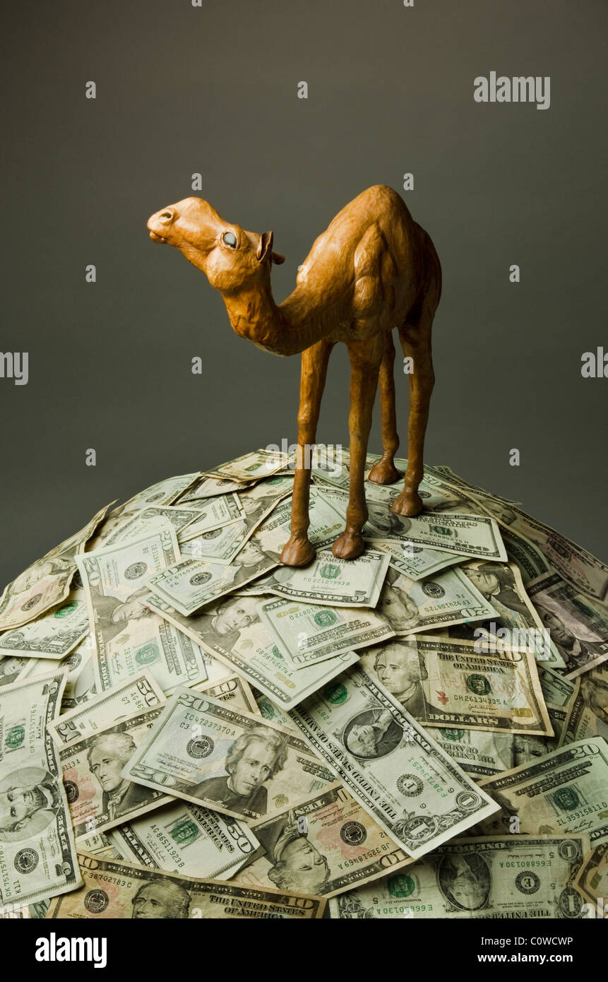 model of camel standing on mound of US paper currency Stock Photo